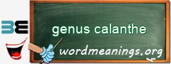 WordMeaning blackboard for genus calanthe